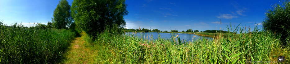 Wanderung Sommerakademie Aquaponik 2019 im Teichland