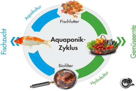 Aquaponik ist komplex, Vereinfachung dient dem Verstehen der Nachhaltigkeit