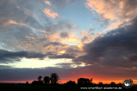 Gewässer rund um Eberswalde in abendlicher Sommerstimmung